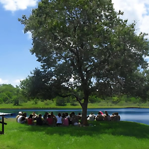 Instituto Visão Futuro